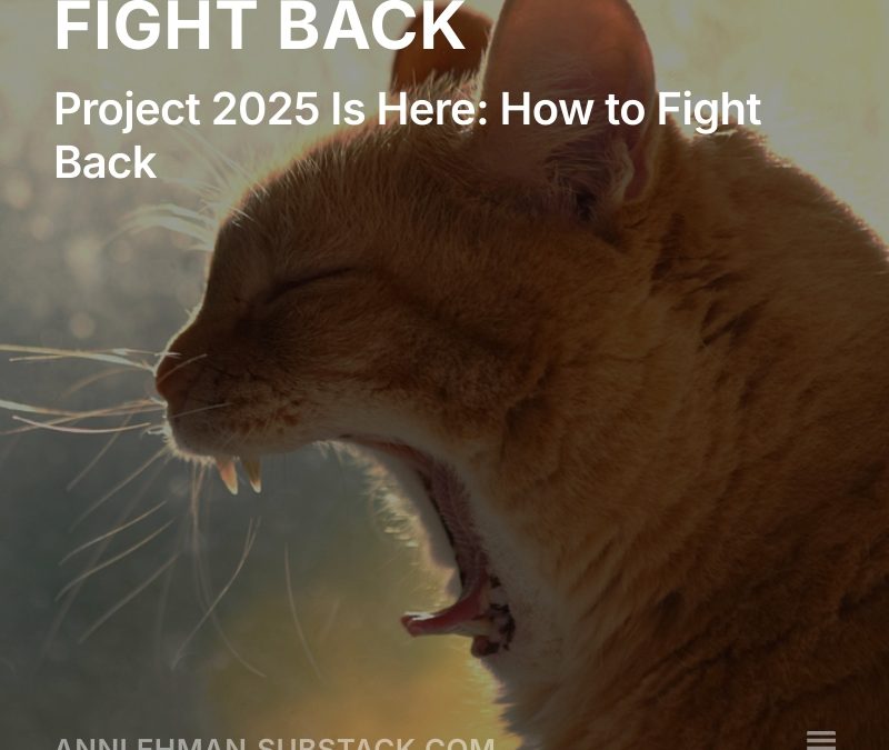 FIGHT BACK, Zimnotes V. 31 # 4